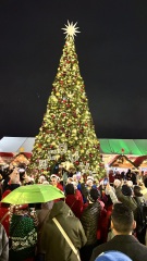 Come and tell us your dull and unexciting news 34: Calmly through the day