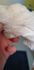 Mucus plug or just more discharge?