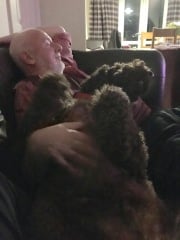 Do you have a large-ish dog, e.g. Boxer and bigger that insists on being a lap dog, when it really isn't?