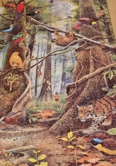 Anyone fancy another new jigsaw thread?