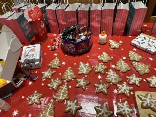 Is this doable for an amateur baker? Christmas biscuits (pic included)