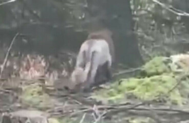 The Bluestocking - Raiders of the Lost Sparp