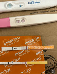 Is this a chemical? (Pics) Two consecutive miscarriages?