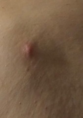 Any ideas as to what this is?