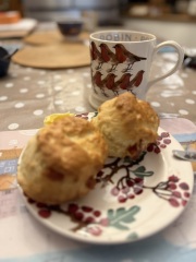 The Nigel Slater Christmas Chronicles readalong 2025 - Part 2