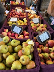 The Nigel Slater Christmas Chronicles readalong 2025 - Part 2