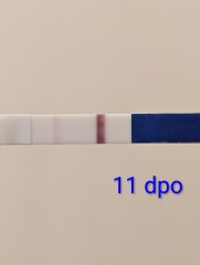 Advice on early positives and One Step tests