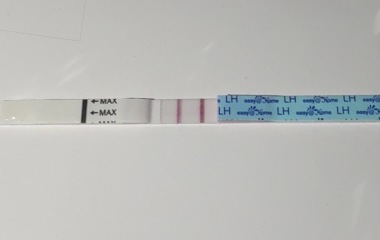 Ovulation test.