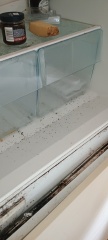 I'm a domestic cleaner AMA