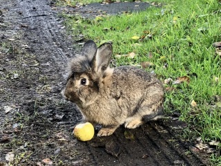 May 2025 Starters Thread 6 - We’re all totes protes now ✌️