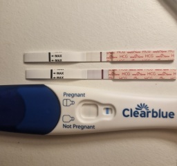 Clearblue Ultra Early