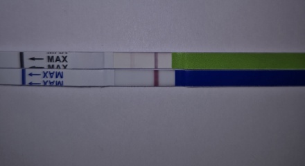 Faint lines/lines eyes? Disappearing lines?