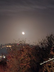 The Nigel Slater Christmas Chronicles Readalong 2025