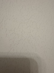 Can anyone tell me what has happened to my newly (professionally) painted walls?