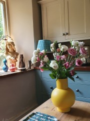 Paint colours to warm up blue kitchen colour / accessories / clean up