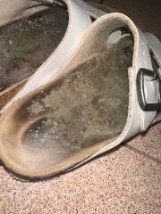 So - mould in property I’ll attach some pics