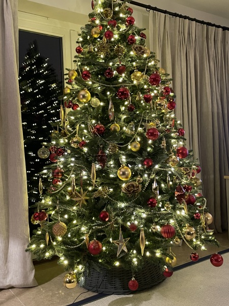 Have we had a Christmas tree thread this year?