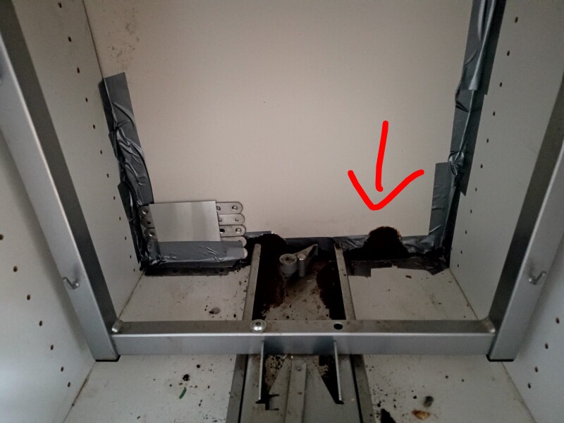 Rat or mouse?