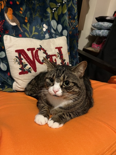 Thread 40 Starmer: Prettig Kerstfeest, Nollaig Shona, Hyvää Joulua, Nadolig Llawen ,圣诞快乐, God Jul, Feliz Navidad, Bouan Noué, Nollaig Chridheil.