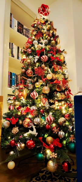 Share your Christmas Tree 🎄