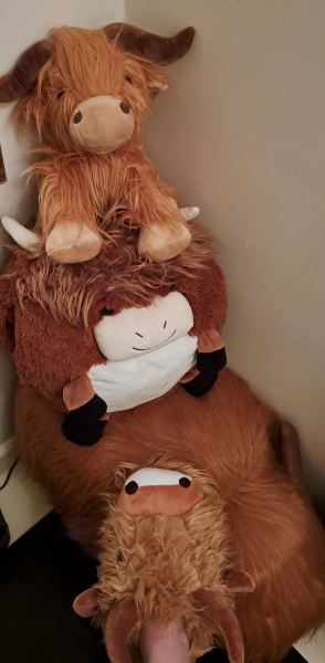 The Bluestocking: it's the season of mulled wine, conversations about pineapple and, of course, gerbils. Confused? You will be...