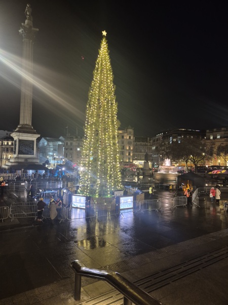 Trafalgar Square Christmas tree embarrassment