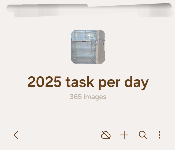 The Bluestocking Boxing Day sale: 1 gerbil for the price of 2