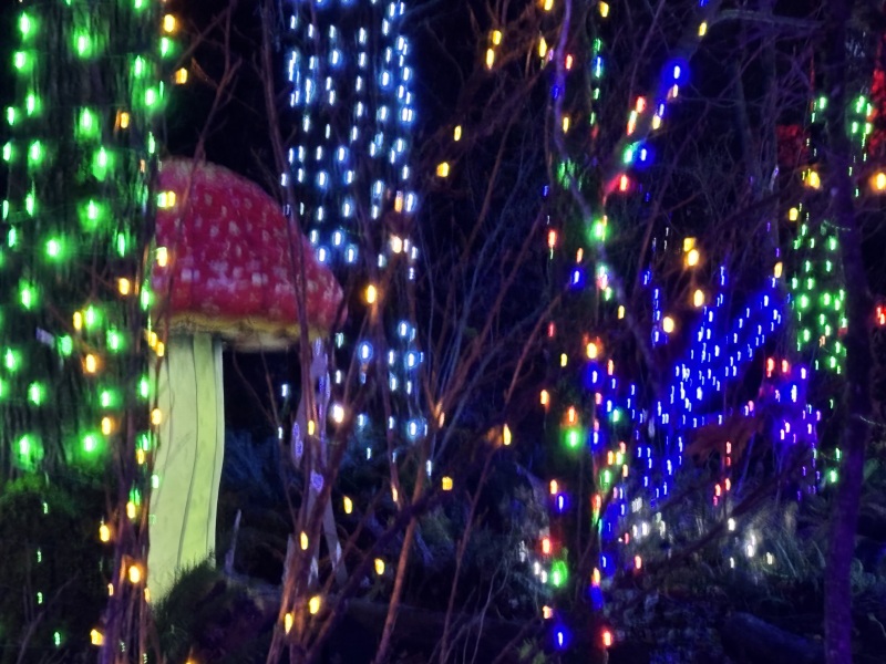 Come and tell us your dull and unexciting news 34: Calmly through the day