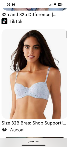 What cup size do you think this is? (not an obscene photo)