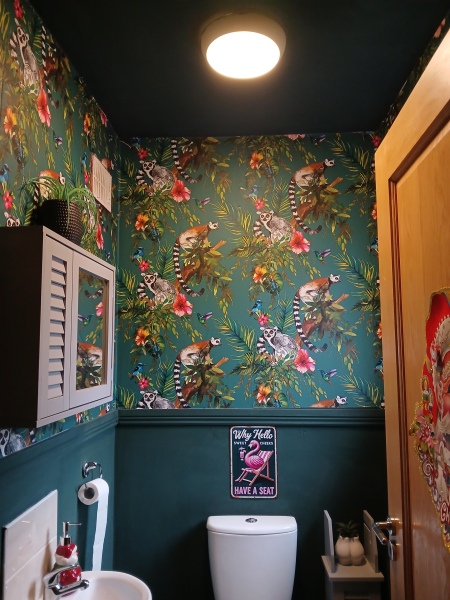 Downstairs loo moulding and coving colour