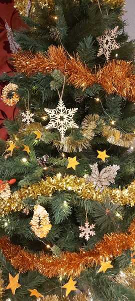 Poncetastic Christmas 2025