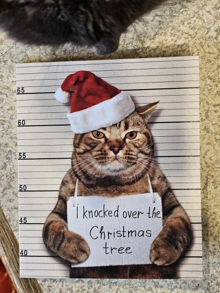 Is there a way to deter my cat from climbing and lying in my Christmas tree?!