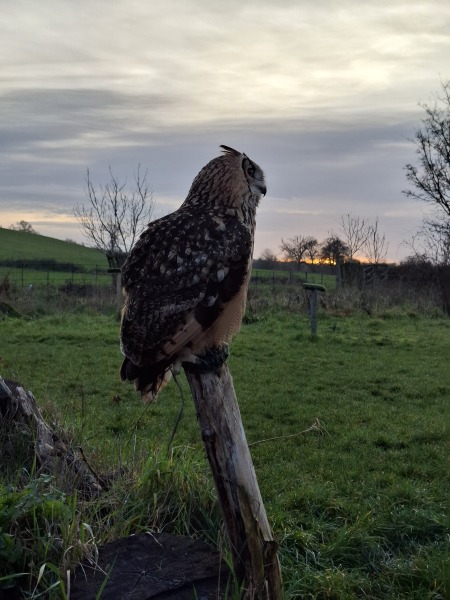 The Nigel Slater Christmas Chronicles Readalong 2025 - Part 3