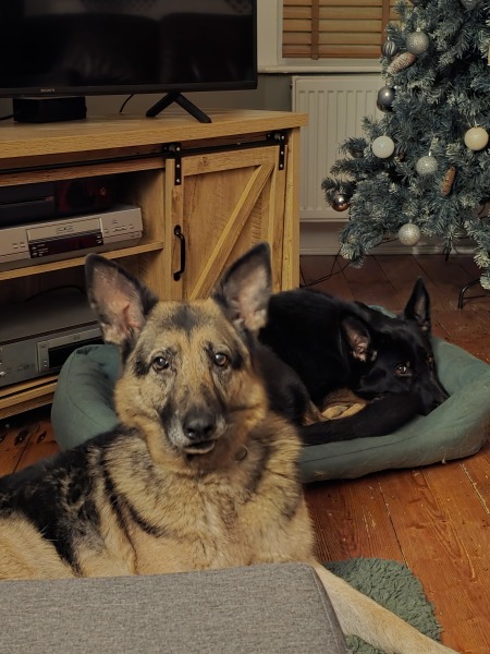 🎄 2025 Style and Beauty Advent Calendar Discussion ***SPOILERS*** THREAD 10