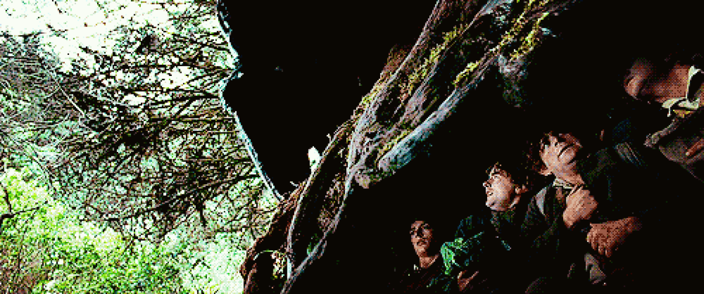 To not give SIL her engagement ring back?