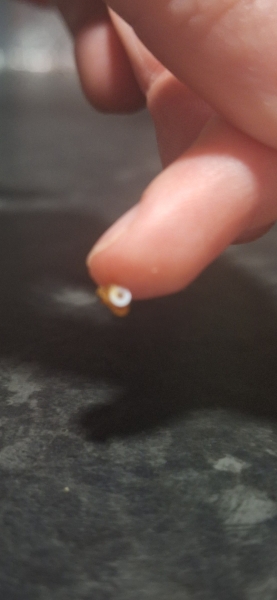 DD's grommet fell out today.