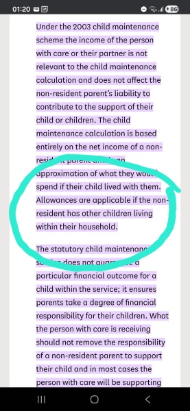 To think stepparents should not be financially responsible for other people's children?