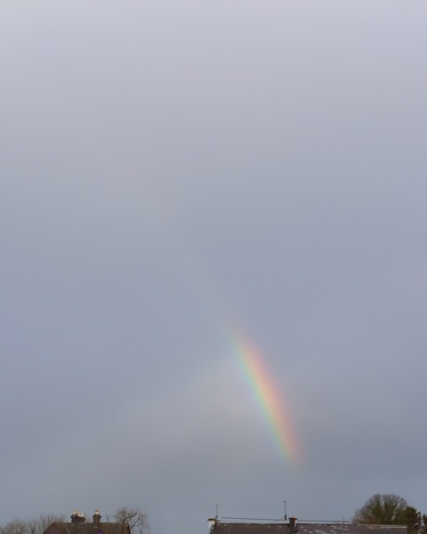 Any Witches Here? Part 21