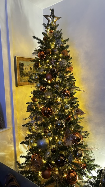Or do fake trees always  look crap?