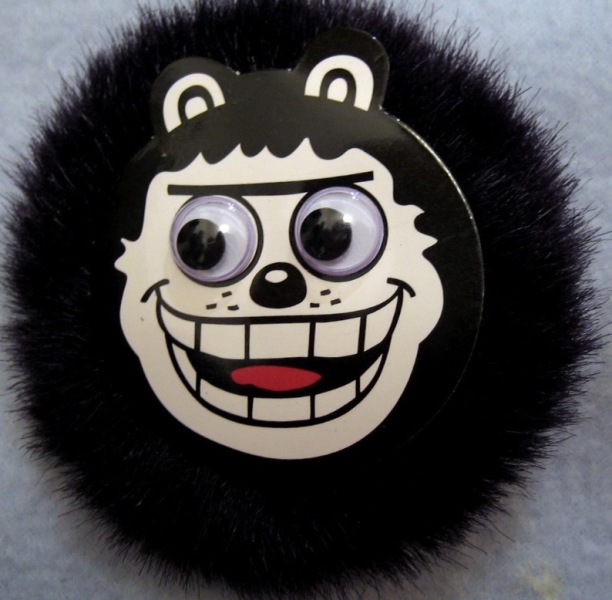 Any kids from the 70/80/90's remember fan clubs?