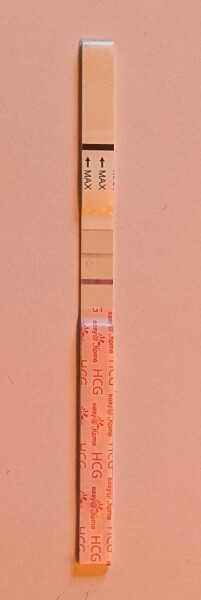 10dpo, positive test on second morning urine. Next urine all negative. Please help!