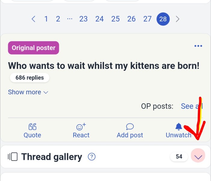 Who wants to wait whilst my kittens are born!
