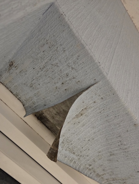 Help with my mouldy bathroom