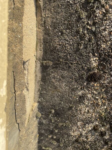 Damp! Paging @pigletjohn (with photos)