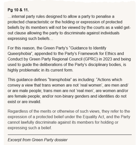 Green Party lawyers warn guidance on identifying ‘queerphobia’ risks discriminating against members who question gender ideology