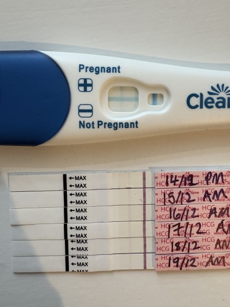 Vvfl 16dpo - thoughts plz