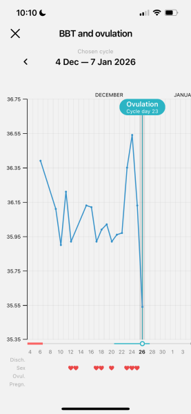 The Hopeful Hearts Circle 1  - December 2025🎄💖