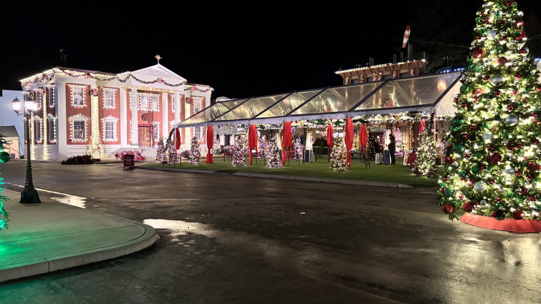 Daily Project round 8