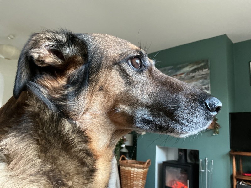 Good Afternoon Mumsnet - What’s Happening In Your House?