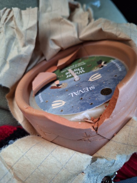 The Nigel Slater Christmas Chronicles readalong 2025 - Part 2